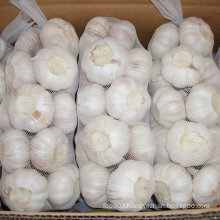 Professional Supplier of Fresh White Garlic